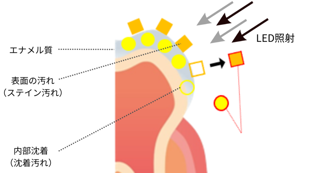 メディカルホワイトニングの仕組み